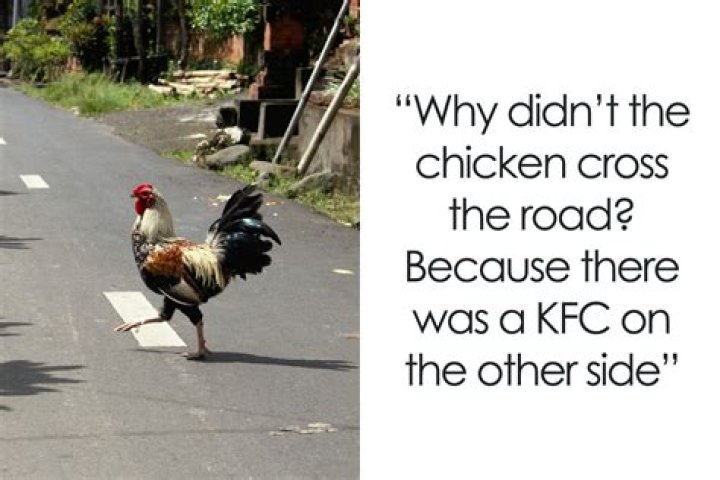 What is the point of Chicken Girls?