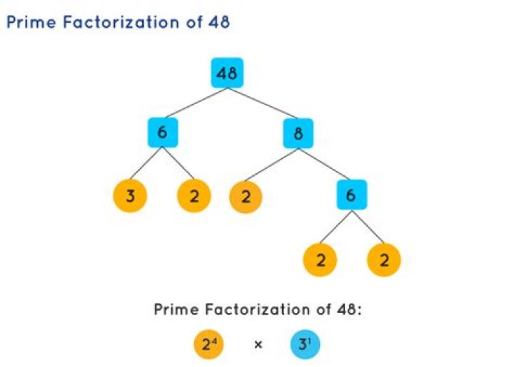 What is the prime factorization for 40?