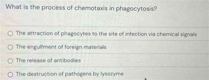 What is the process of chemotaxis?