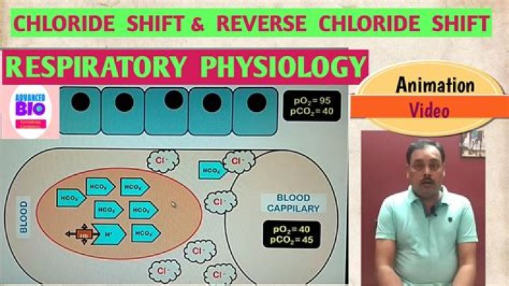 What is the role of chloride shift?