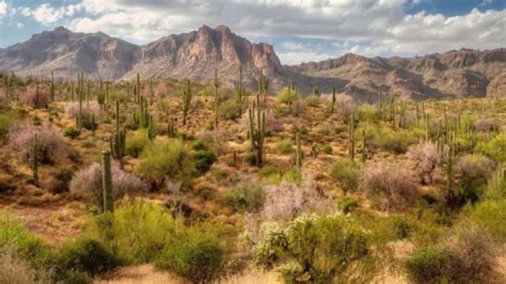 What is the wettest place in Arizona?