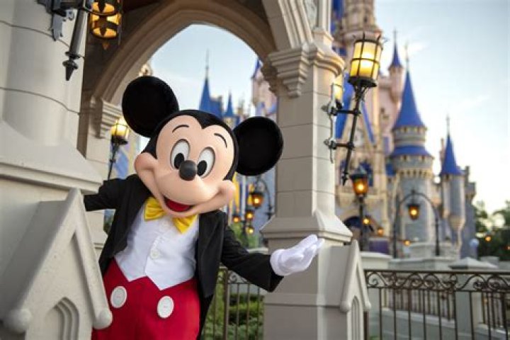 What kind of attractions are at Disney World?