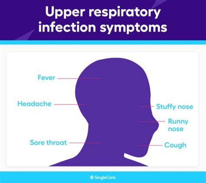 What kind of infection can Augmentin cure?