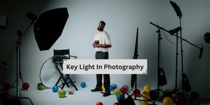 What kind of light bulbs do photographers use?