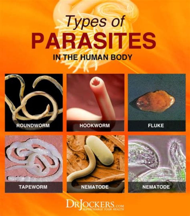What kind of parasite comes out of your skin?