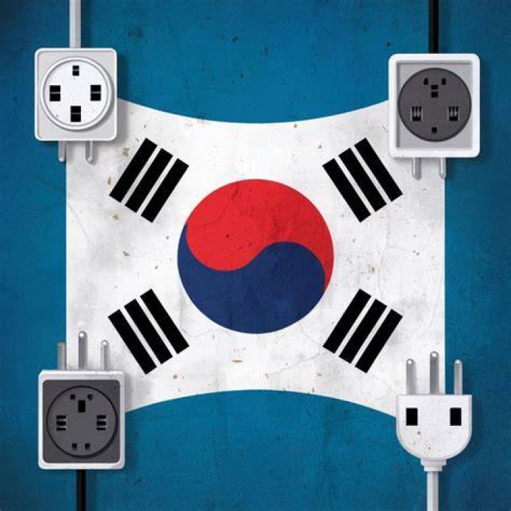 What kind of plug does Korea use?