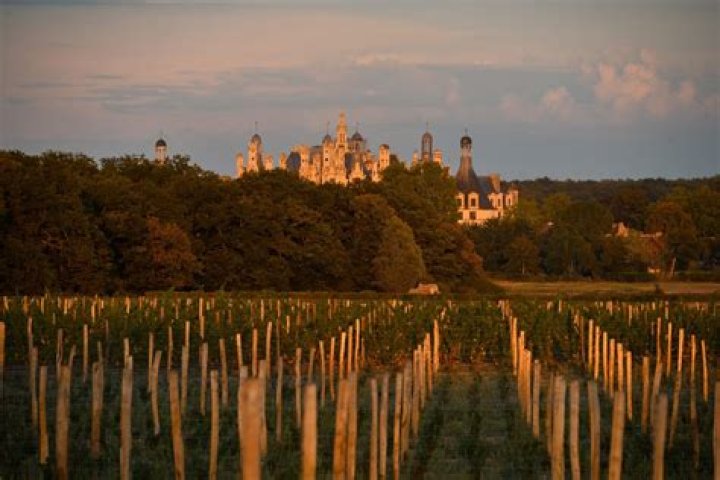 What Loire means?