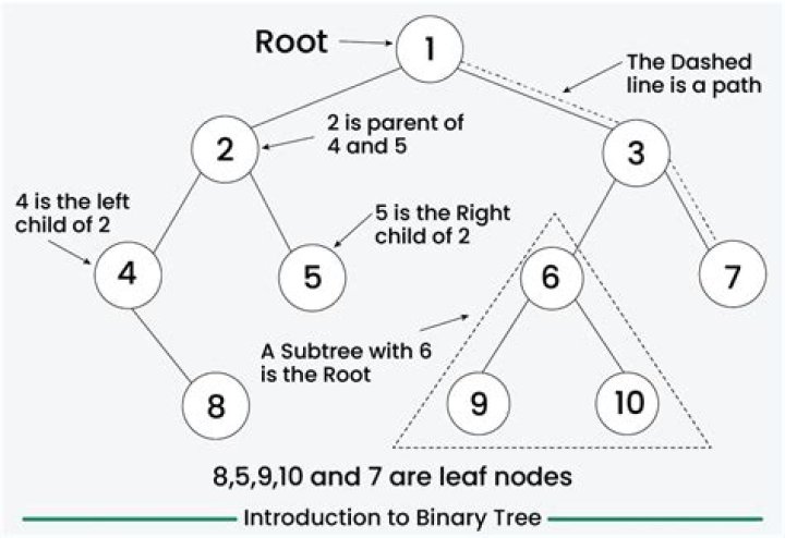 What order do you print a binary tree?