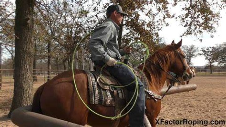 What rope should I get for roping?