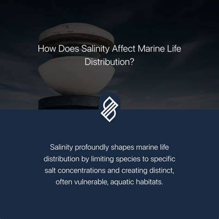 What salinity means?
