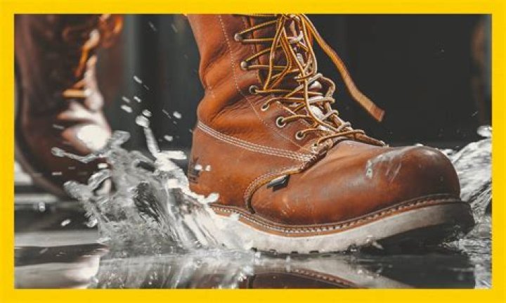 What should I do if my leather shoes get wet?