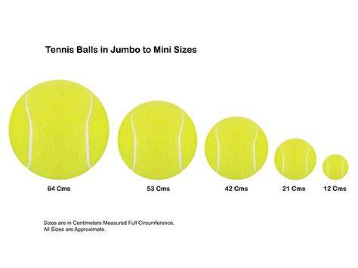 What size are mini tennis balls?