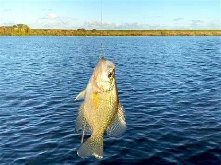 What size reel is best for crappie?