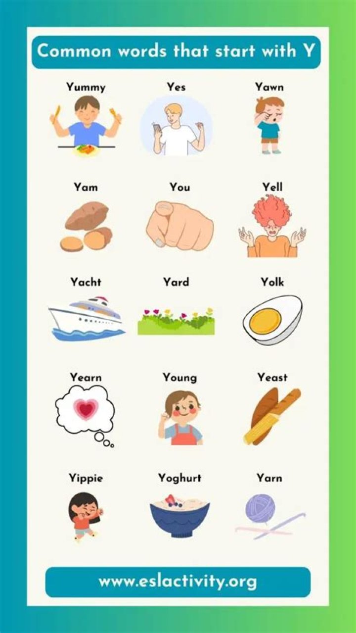 What words start from Y with meaning?