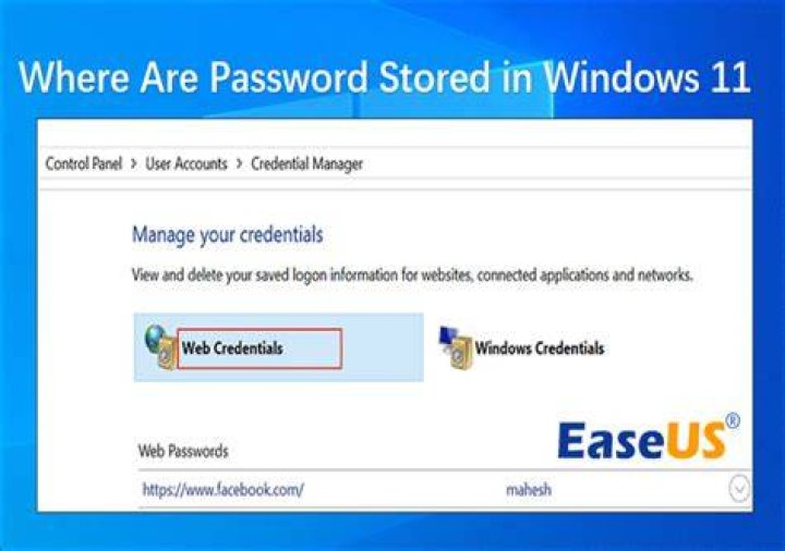 Where are saved passwords in IE 11?