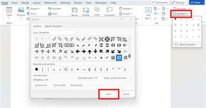 Where can I find a tick symbol in Word 2007?