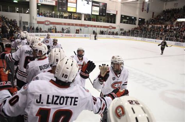 Where can I watch the Minnesota state hockey tournament?