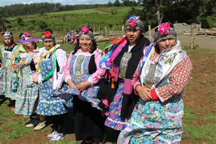 Where do the Mapuche people come from?