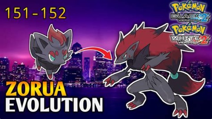 Where do you get Zorua in Pokemon Black 2?