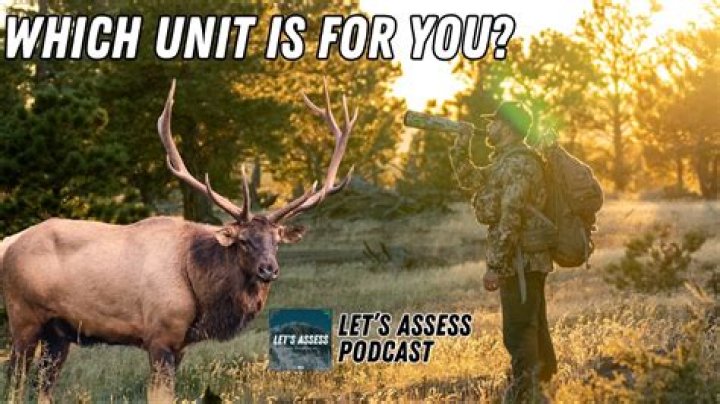 Where is the best elk hunting in Utah?