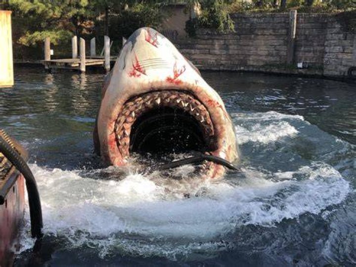 Where is the Shark water park?