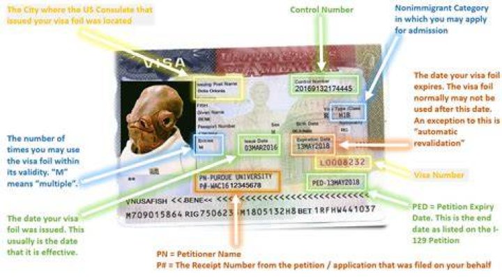 Where is visa document number?