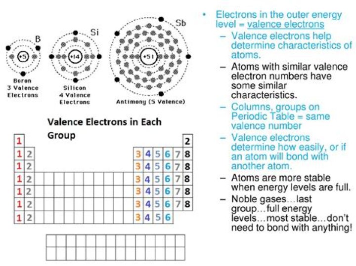 Which elements have 7 electrons in their valence shell?