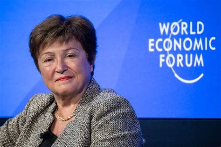 Who chooses the IMF director?