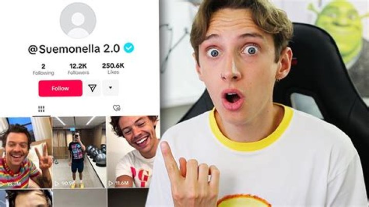 
Who Is Suemonella TikTok? Harry Styles Alleged Secret Account Run By George Mason 