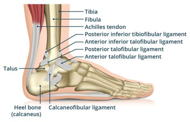 Why does my leg bone hurt when I walk?