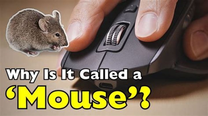 Why is a mouse called Jerry?