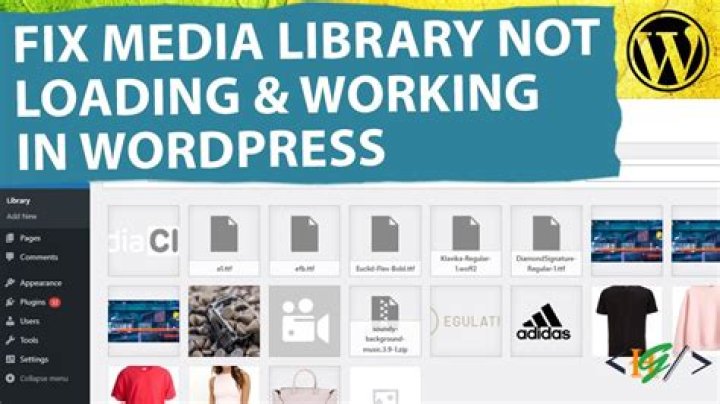 Why is my WordPress media library not working?