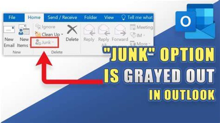 Why is not junk grayed out?