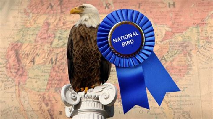 Why Tiger is our national bird?