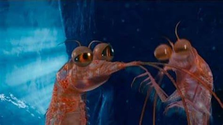 Will the Krill and Bill the krill?