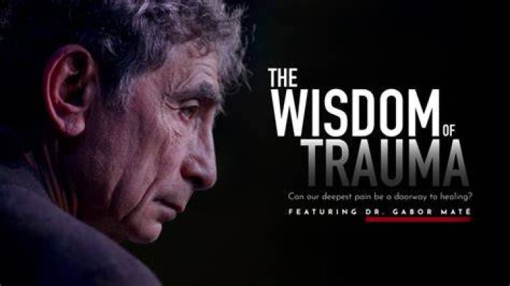 Will the wisdom of trauma be on Netflix?