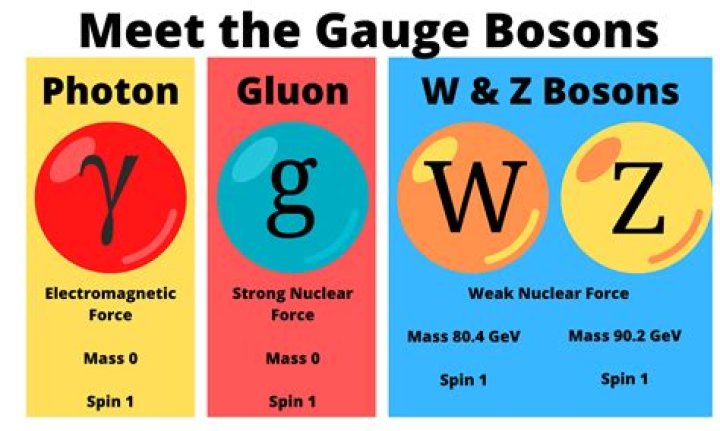 Would a graviton be a boson?